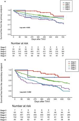 The impact of extra-valvular cardiac damage on mid-term clinical outcome following transcatheter aortic valve replacement in patients with severe aortic stenosis